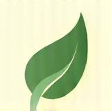 Icon representing a herbal leaf for skincare